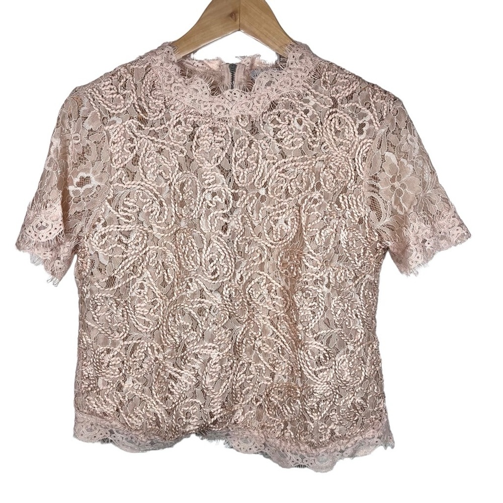 Zara Blush Lace Embroidered Cropped Top | Romantic Boho Festival Medium